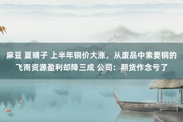 麻豆 夏晴子 上半年铜价大涨，从废品中索要铜的飞南资源盈利却降三成 公司：期货作念亏了