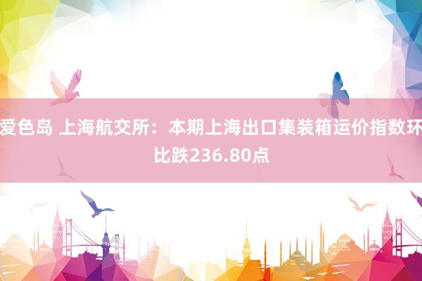 爱色岛 上海航交所：本期上海出口集装箱运价指数环比跌236.80点