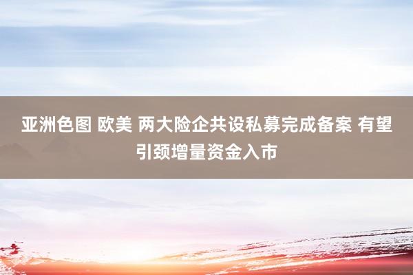 亚洲色图 欧美 两大险企共设私募完成备案 有望引颈增量资金入市