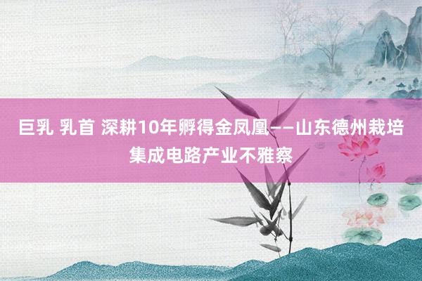 巨乳 乳首 深耕10年孵得金凤凰——山东德州栽培集成电路产业不雅察