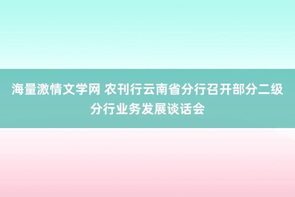 海量激情文学网 农刊行云南省分行召开部分二级分行业务发展谈话会