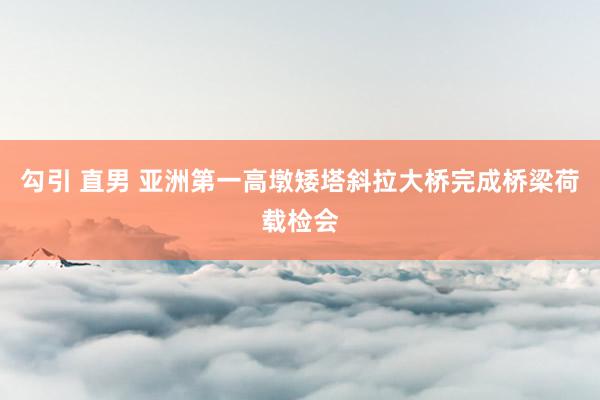 勾引 直男 亚洲第一高墩矮塔斜拉大桥完成桥梁荷载检会