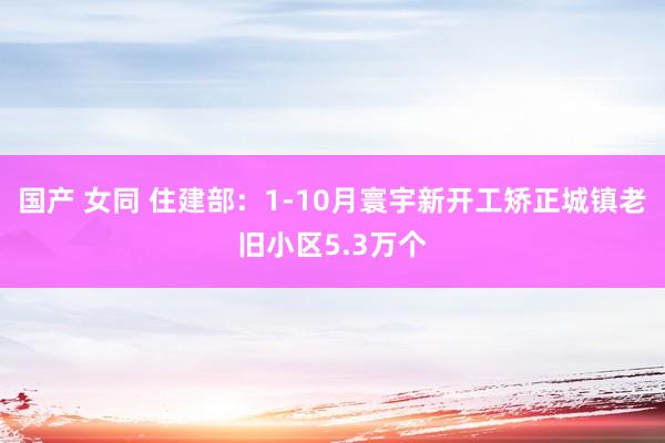 国产 女同 住建部：1-10月寰宇新开工矫正城镇老旧小区5.3万个