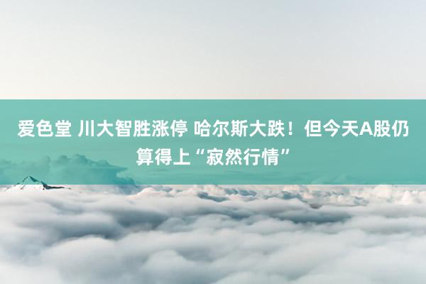 爱色堂 川大智胜涨停 哈尔斯大跌！但今天A股仍算得上“寂然行情”