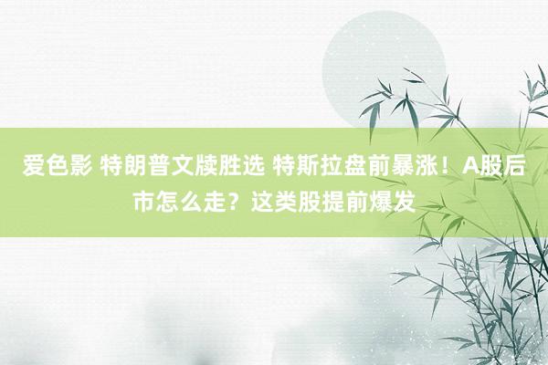 爱色影 特朗普文牍胜选 特斯拉盘前暴涨！A股后市怎么走？这类股提前爆发