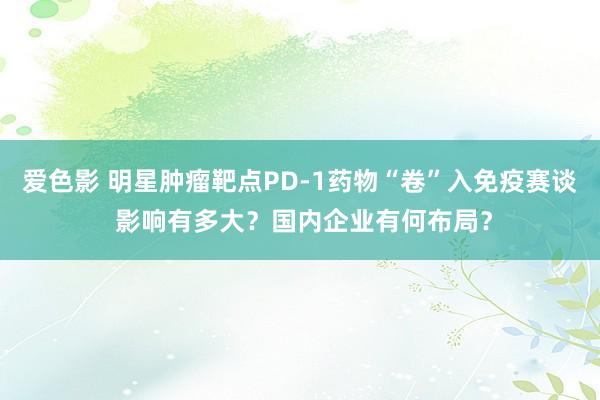 爱色影 明星肿瘤靶点PD-1药物“卷”入免疫赛谈 影响有多大？国内企业有何布局？
