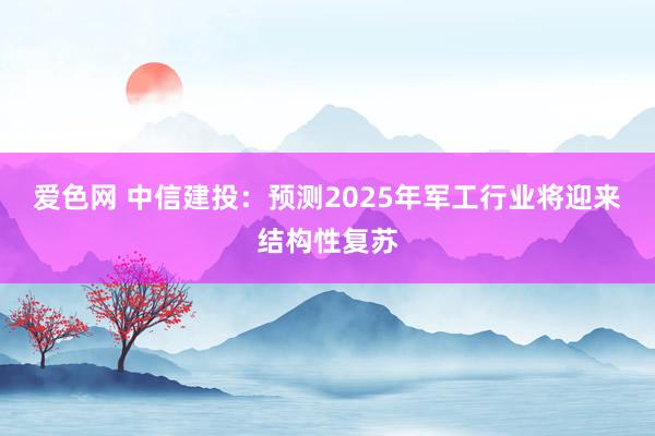 爱色网 中信建投：预测2025年军工行业将迎来结构性复苏