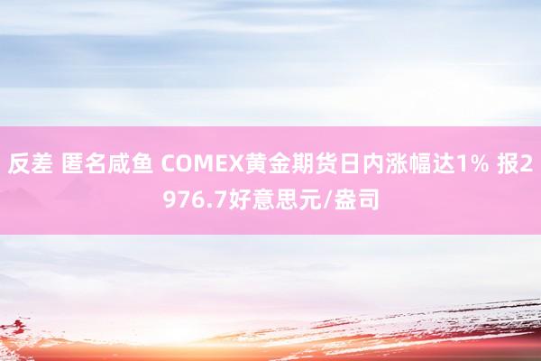 反差 匿名咸鱼 COMEX黄金期货日内涨幅达1% 报2976.7好意思元/盎司