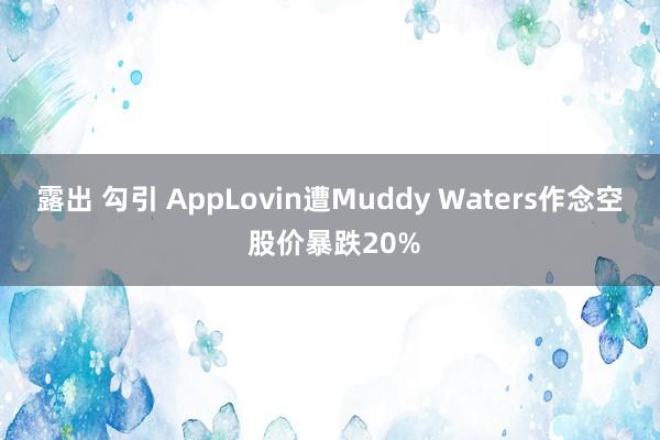 露出 勾引 AppLovin遭Muddy Waters作念空 股价暴跌20%