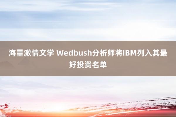 海量激情文学 Wedbush分析师将IBM列入其最好投资名单